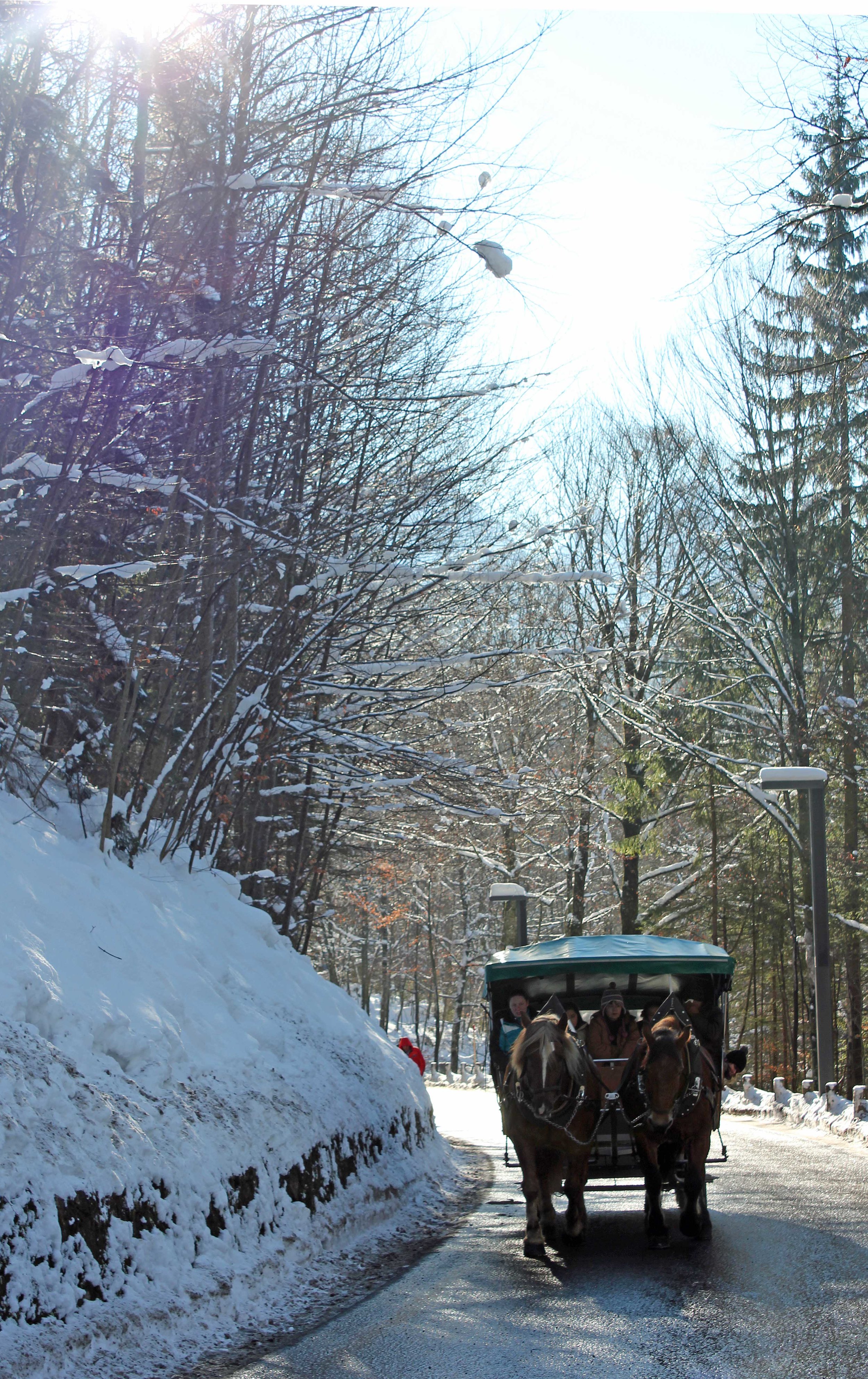 Fussen-Carriage-Ride.jpg