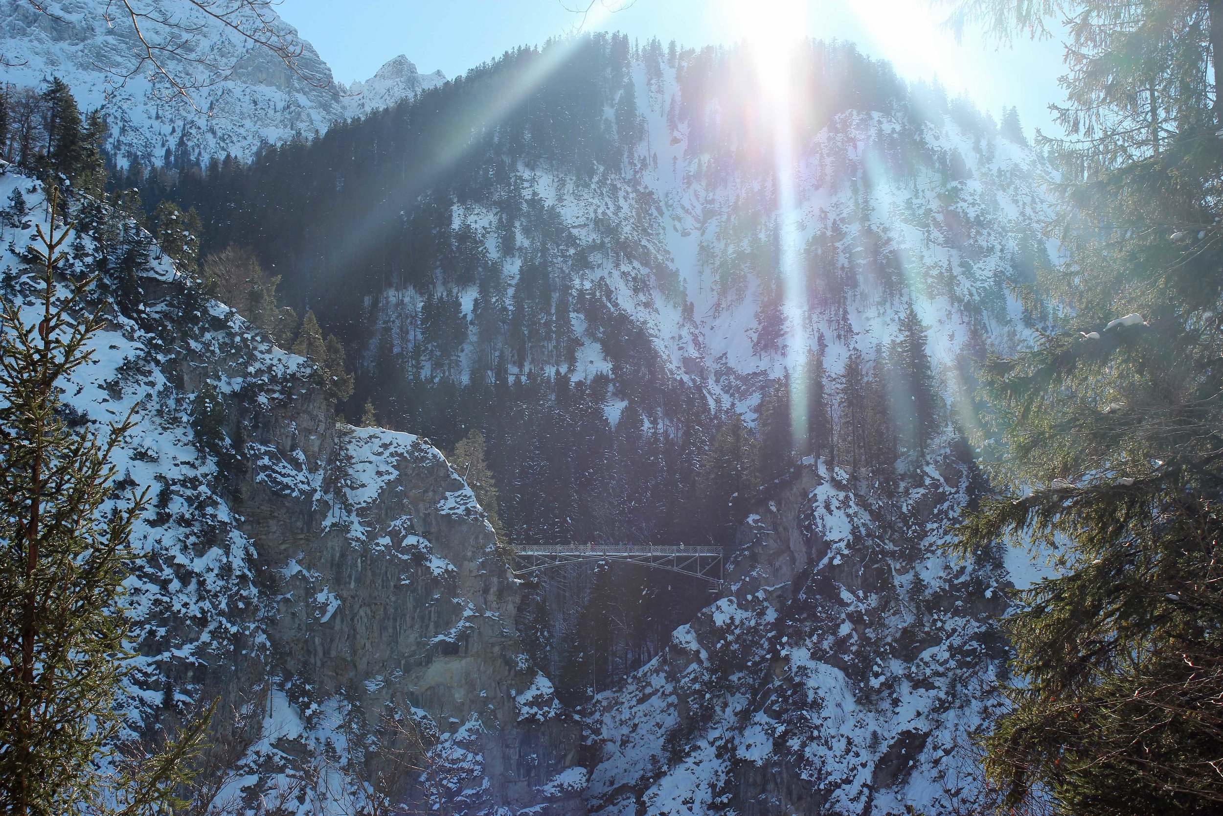 Neuschwanstein-Castle-Bridge.jpg