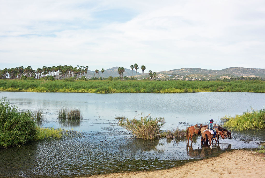 San-Jose-Estuary.jpg