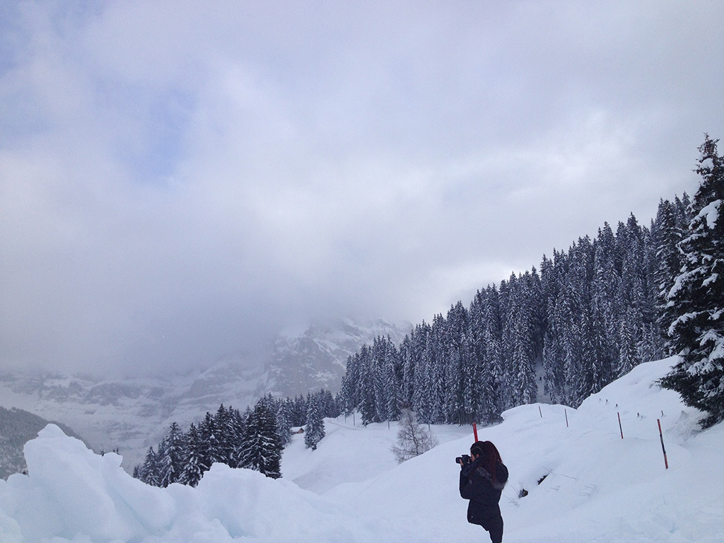 Swiss-Alps.jpg