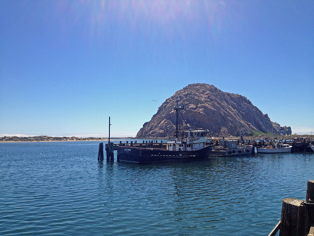 Santa Barbara to San Francisco Road Trip