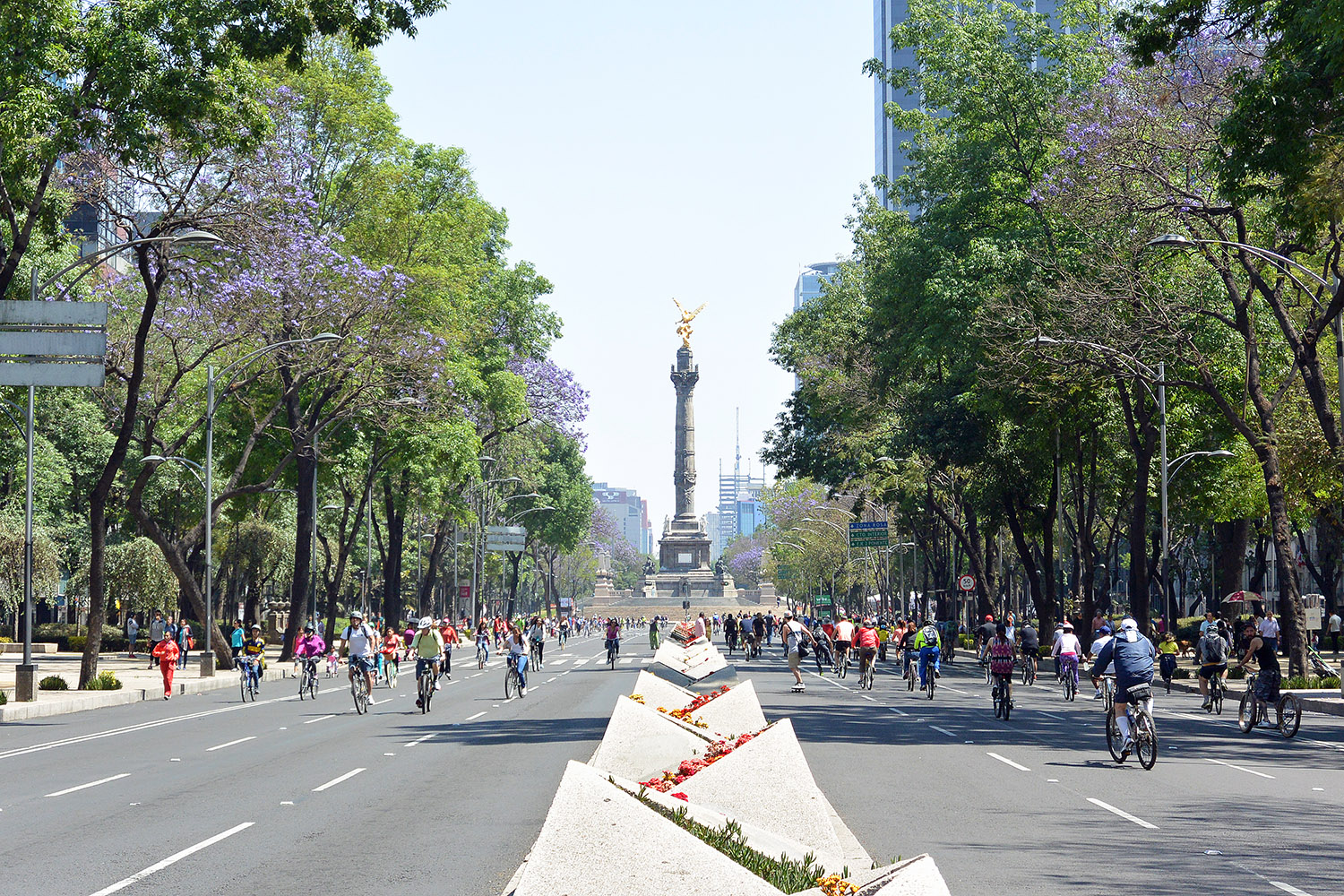 Free Things to do in Mexico City - Paseo de la Reforma