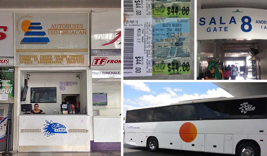 Mexico City to Teotihuacan Day Trip