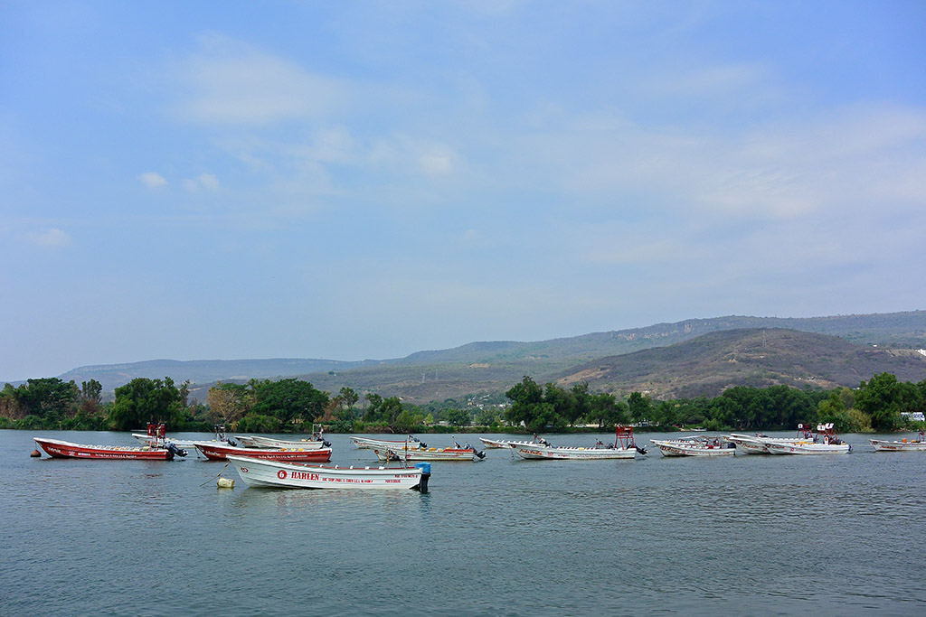 DSC_2193.jpg
