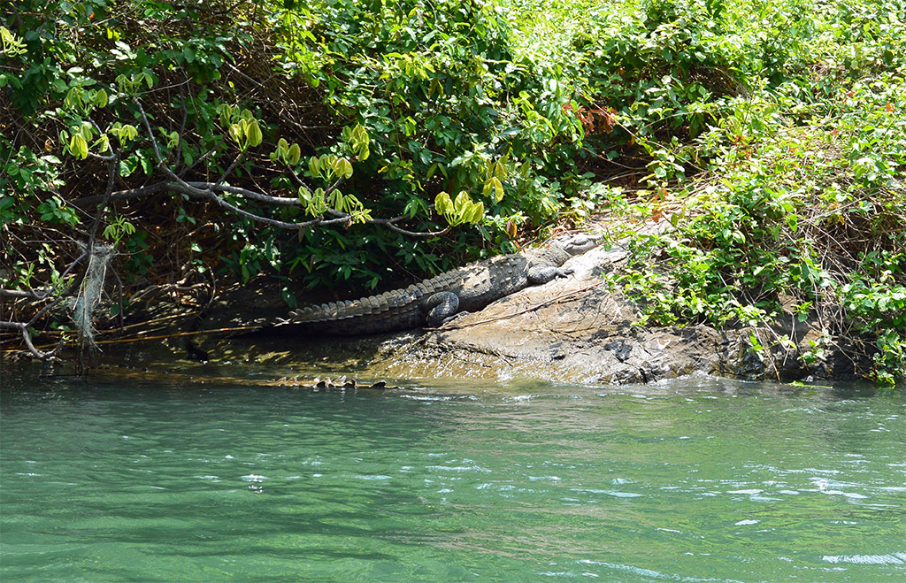 DSC_2298-B.jpg