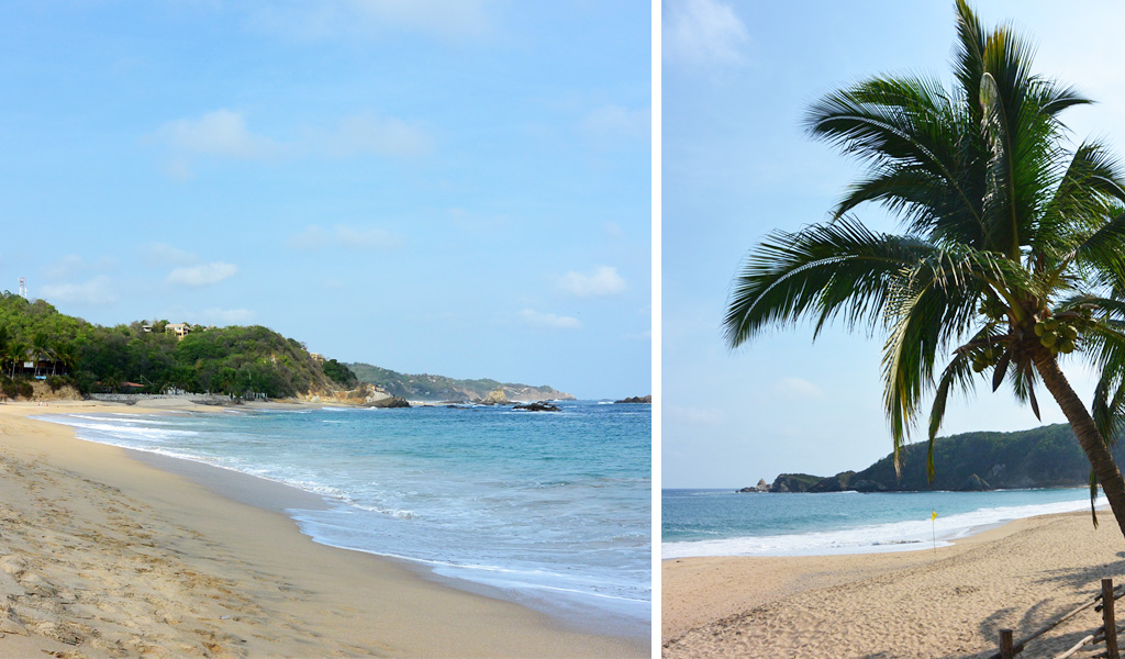 Travel guide to Mazunte, Mexico