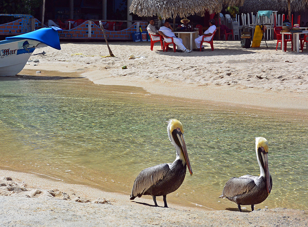 DSC_4048-1.jpg