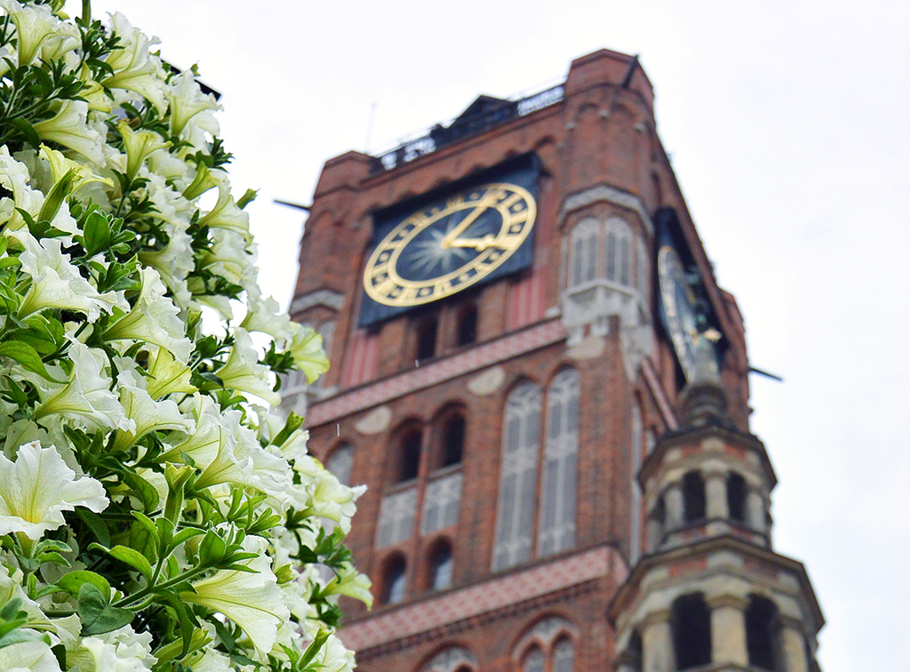 Fun things to do in Torun, Poland