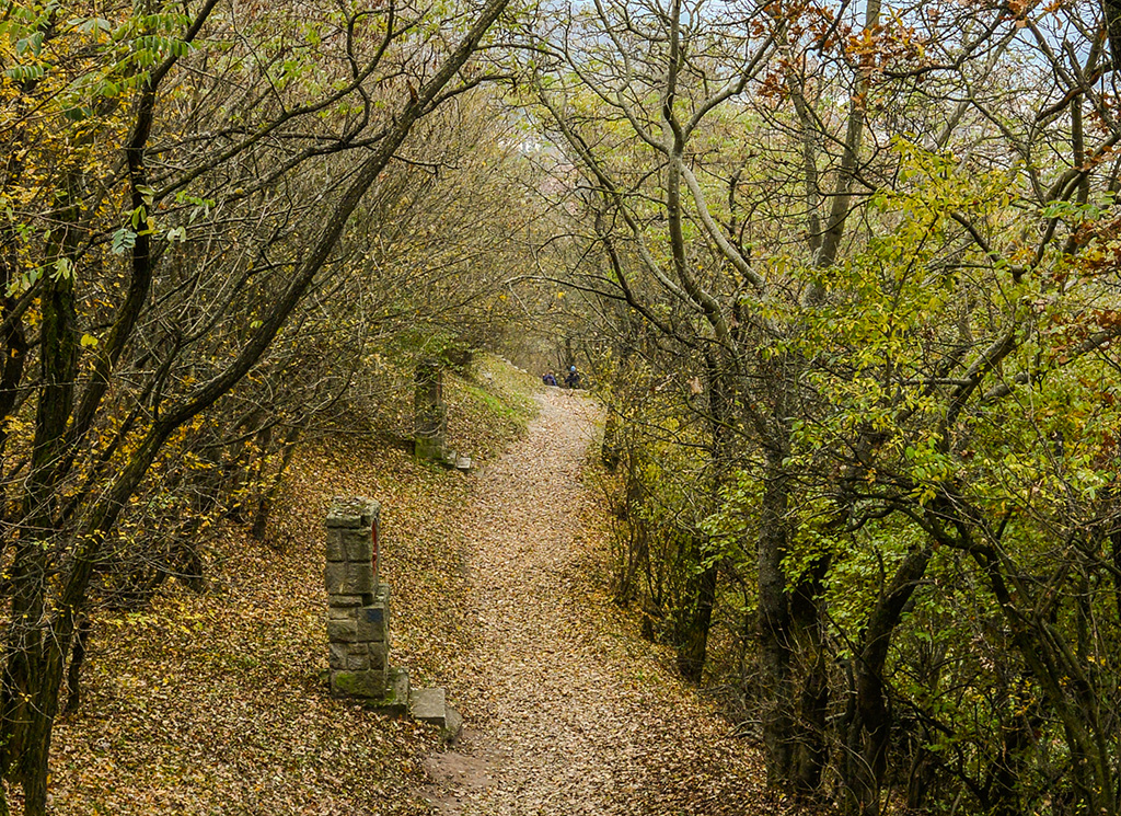 Budapest to Visegrad Day Trip