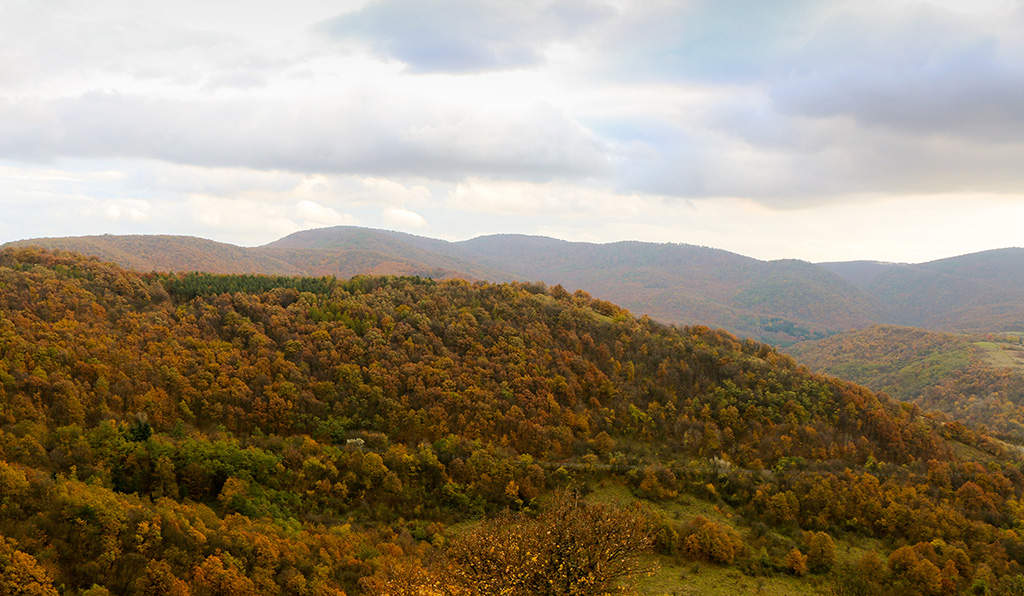 Budapest to Visegrad Day Trip