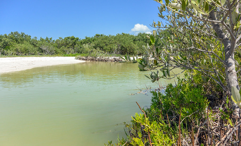 Things to do in Isla Holbox Mexico