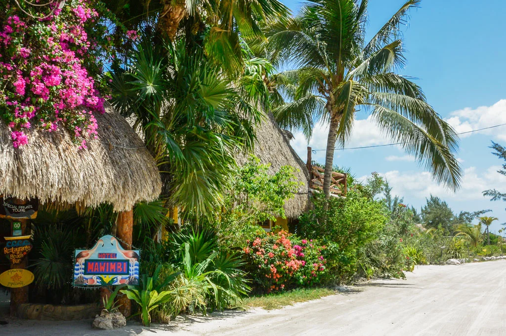 Your Budget Guide to Isla Holbox, Mexico Feather and the Wind