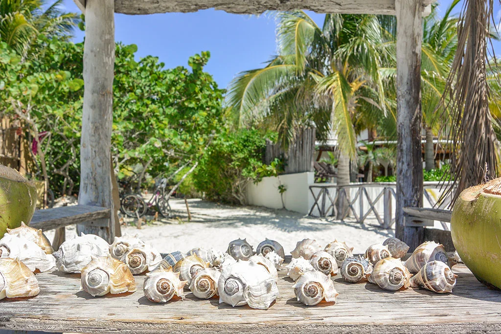 Isla Holbox Guide