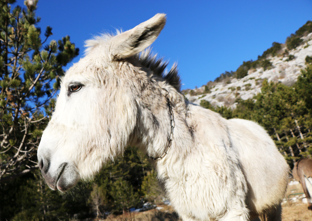 Mosor Mountain Hike near Split, Croatia