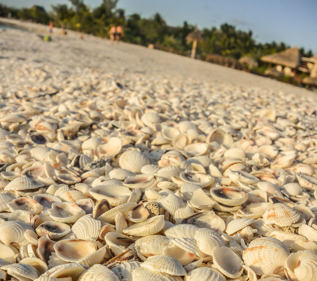 Isla Holbox Guide
