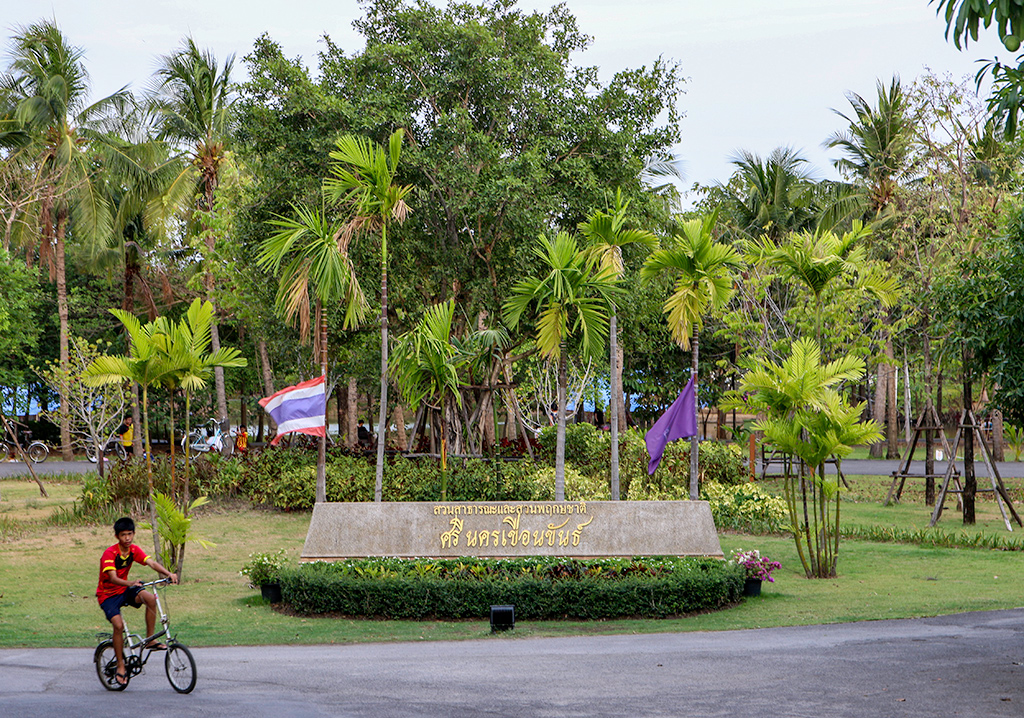 Bangkok's Green Lung - Bang Krachao Day Trip