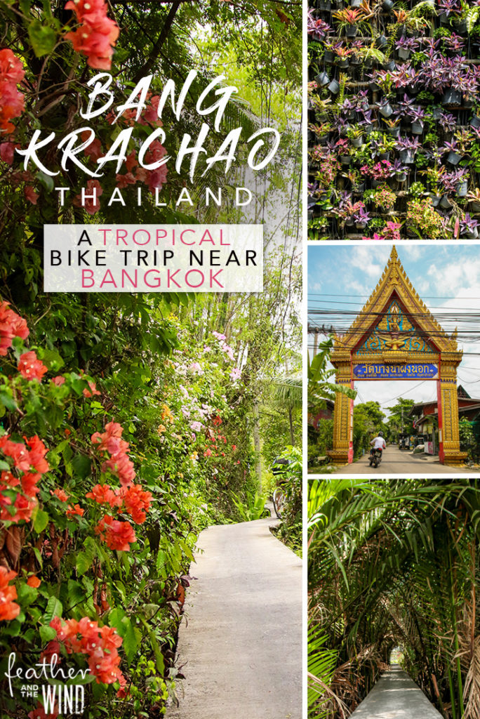Biking in Bang Krachao - Bangkok's Green Lung