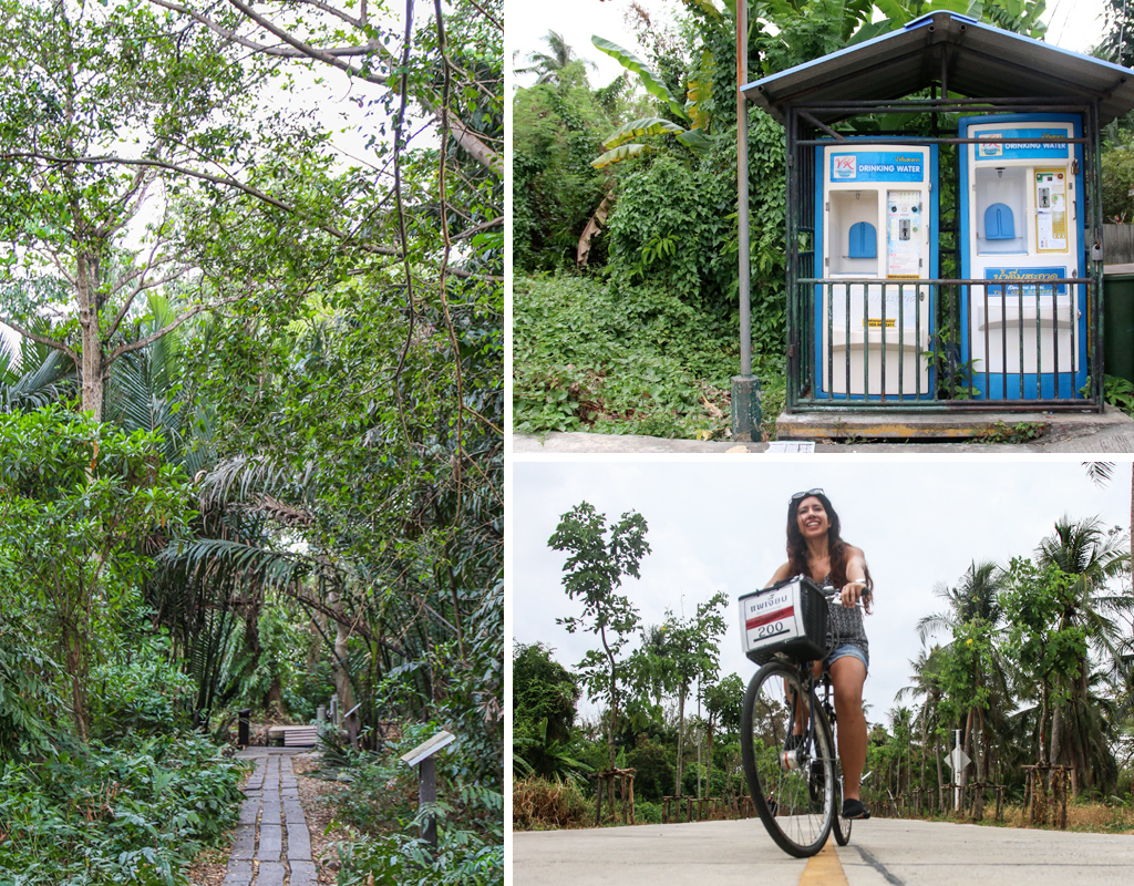 Biking in Bang Krachao - Bangkok's Green Lung