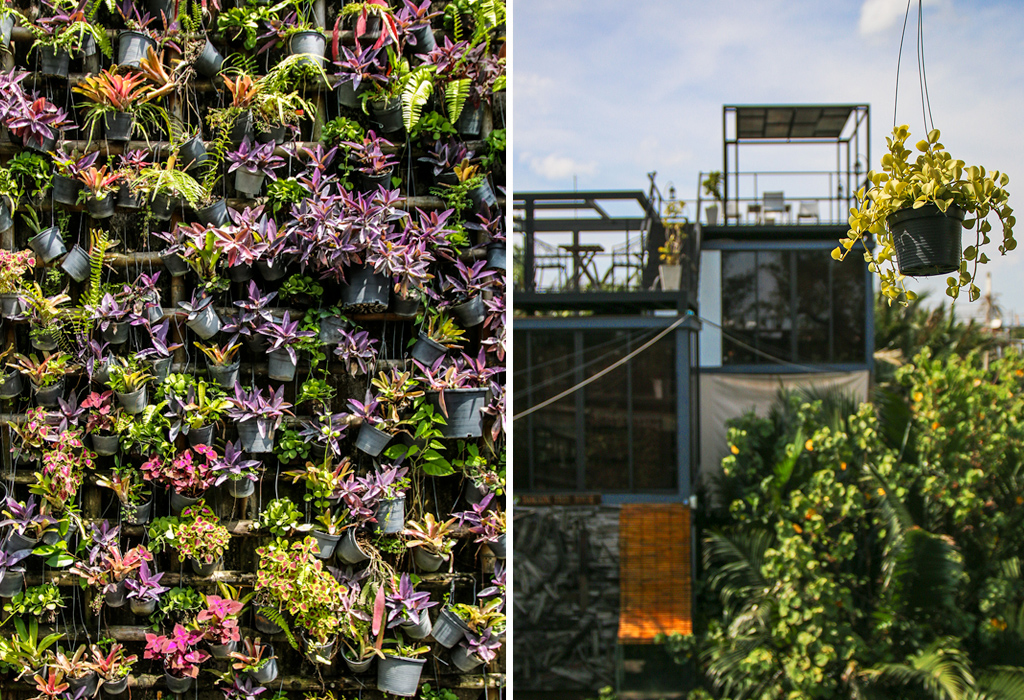 Bangkok Tree House - Bangkok's Green Lung