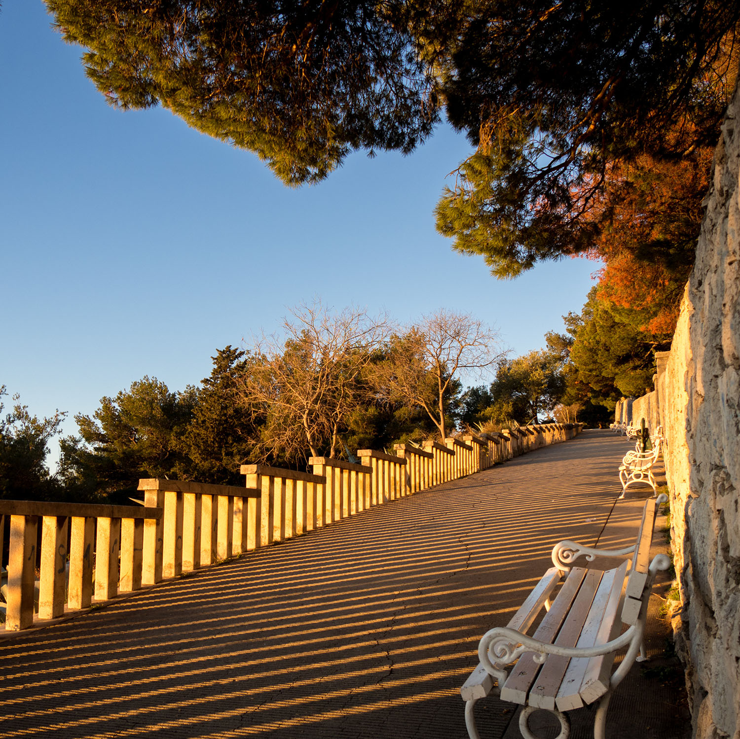 Marjan Hill - Sunrise in Croatia