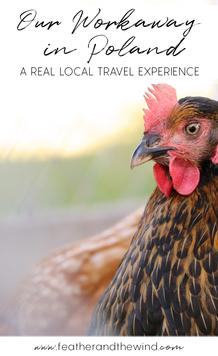 Travelling to Poland with Workaway