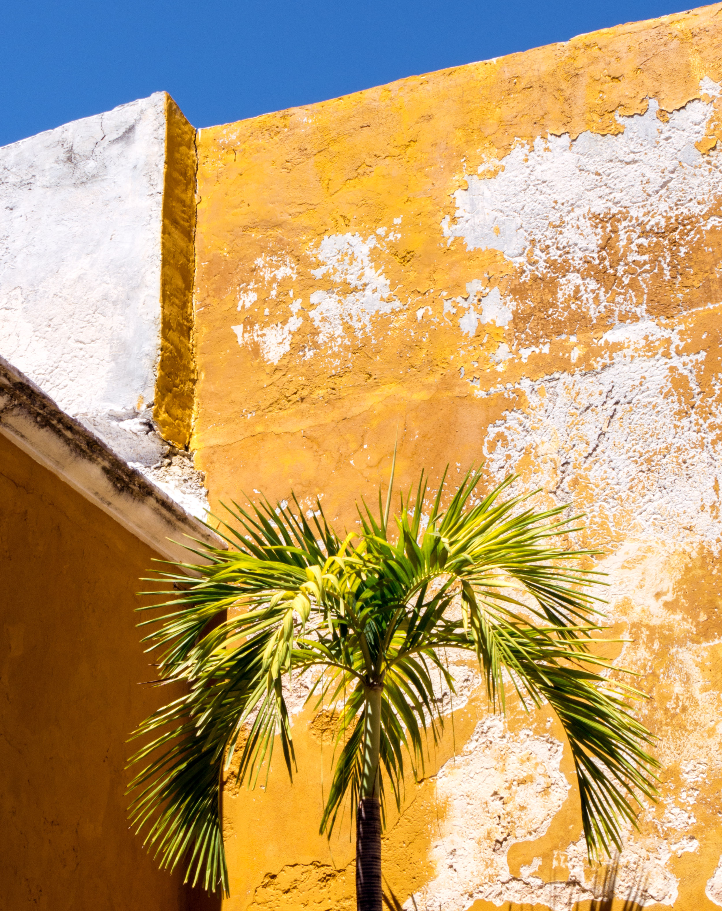 Campeche, Mexico City Guide