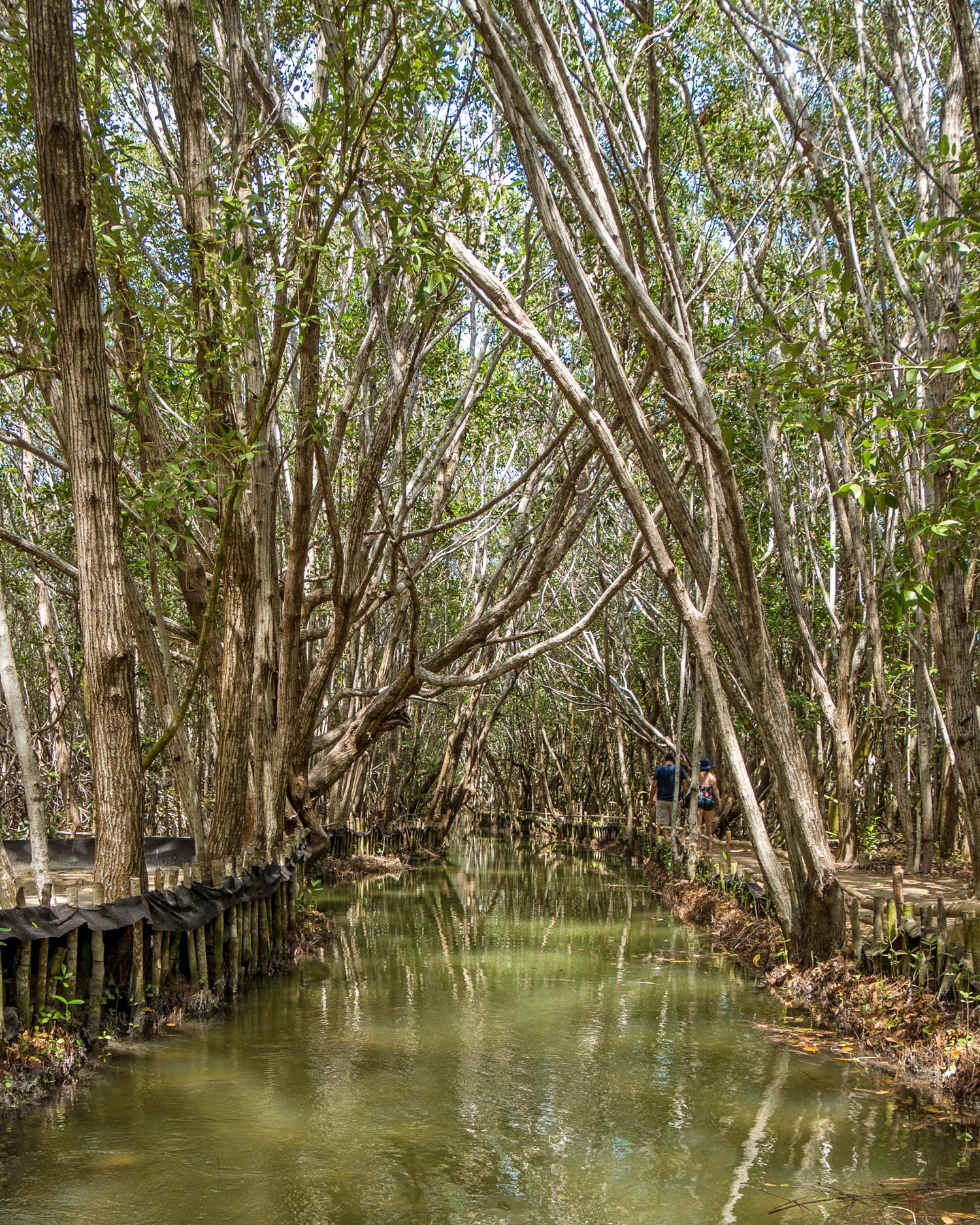 Fun excursions in Progreso, Yucatan Mexico