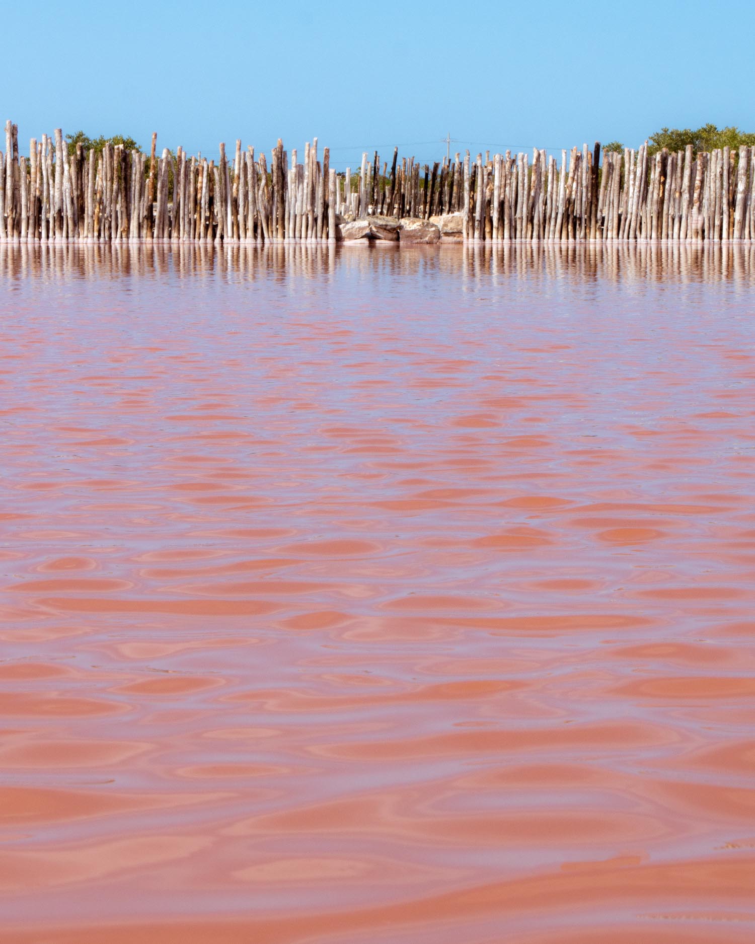 Day Trips From Merida - Pink Salt Flats