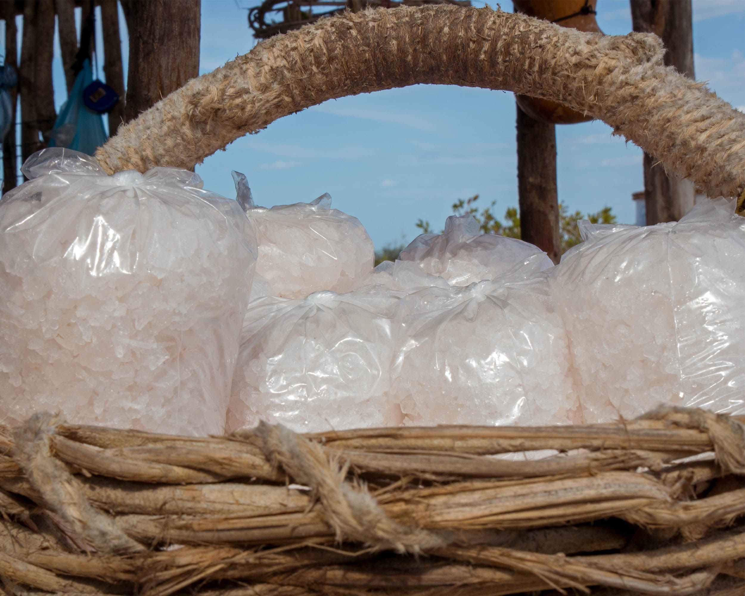Day Trips From Merida - Pink Salt Flats