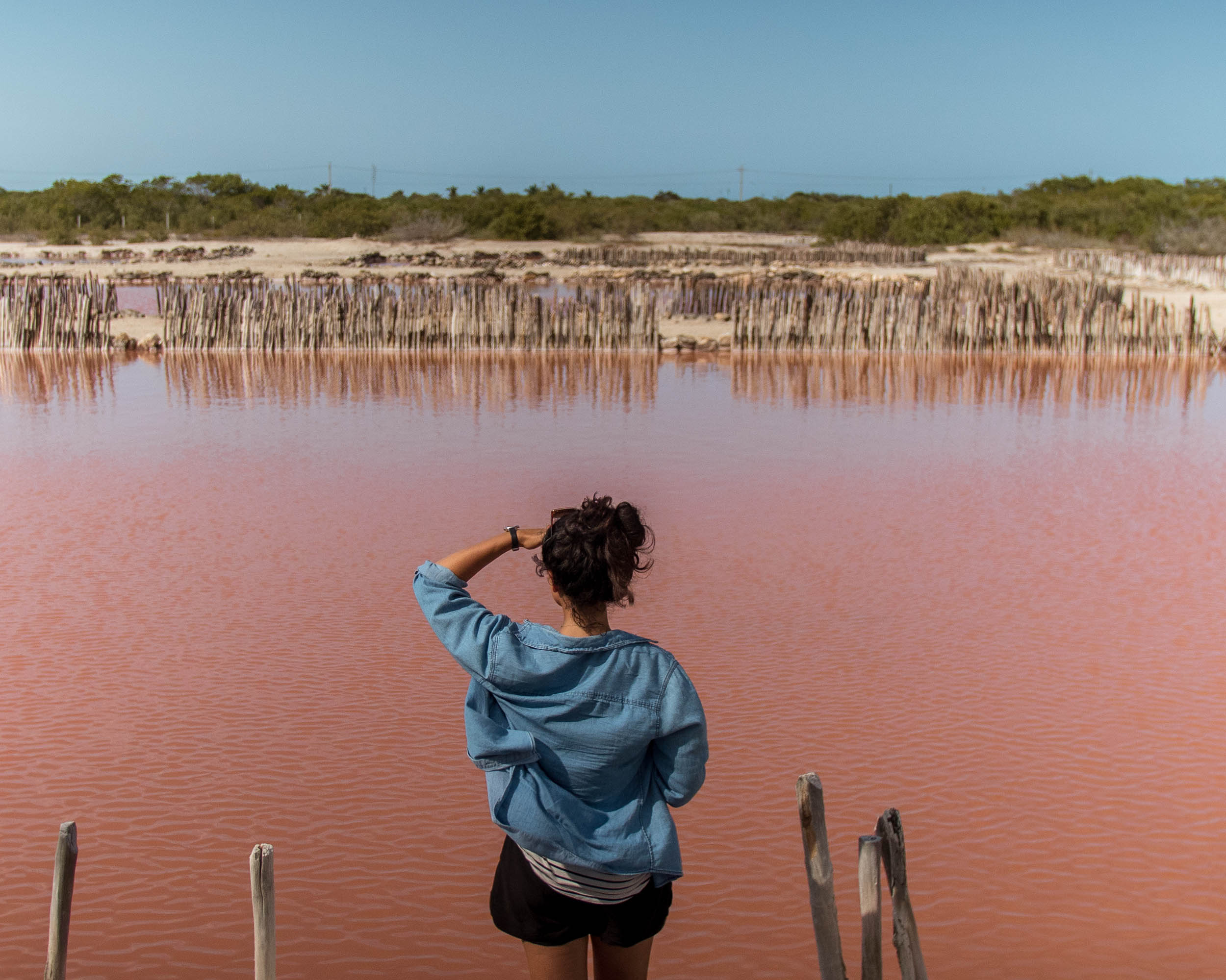 Day Trips From Merida - Pink Salt Flats