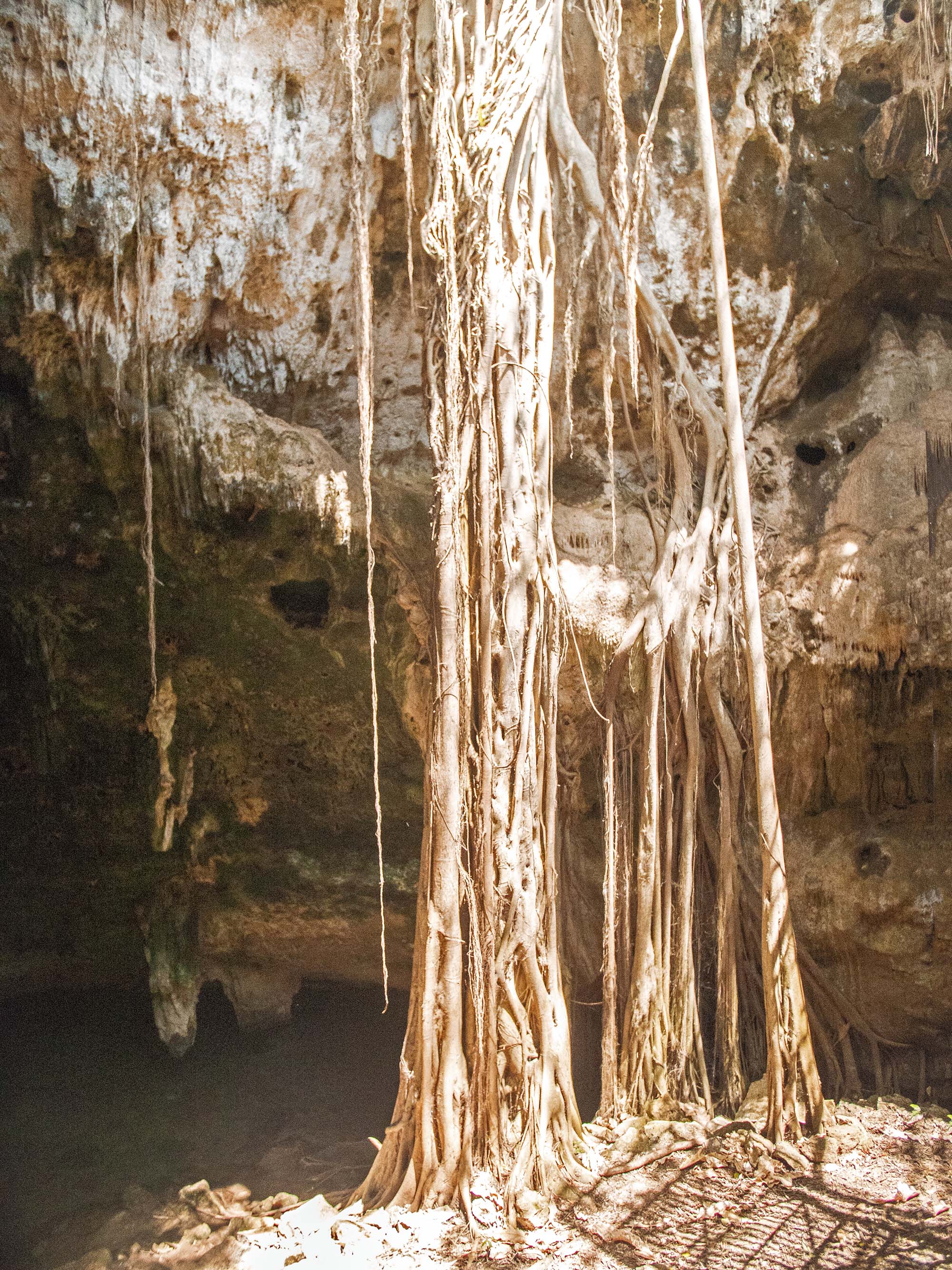 Cuzama Cenotes X'tohil