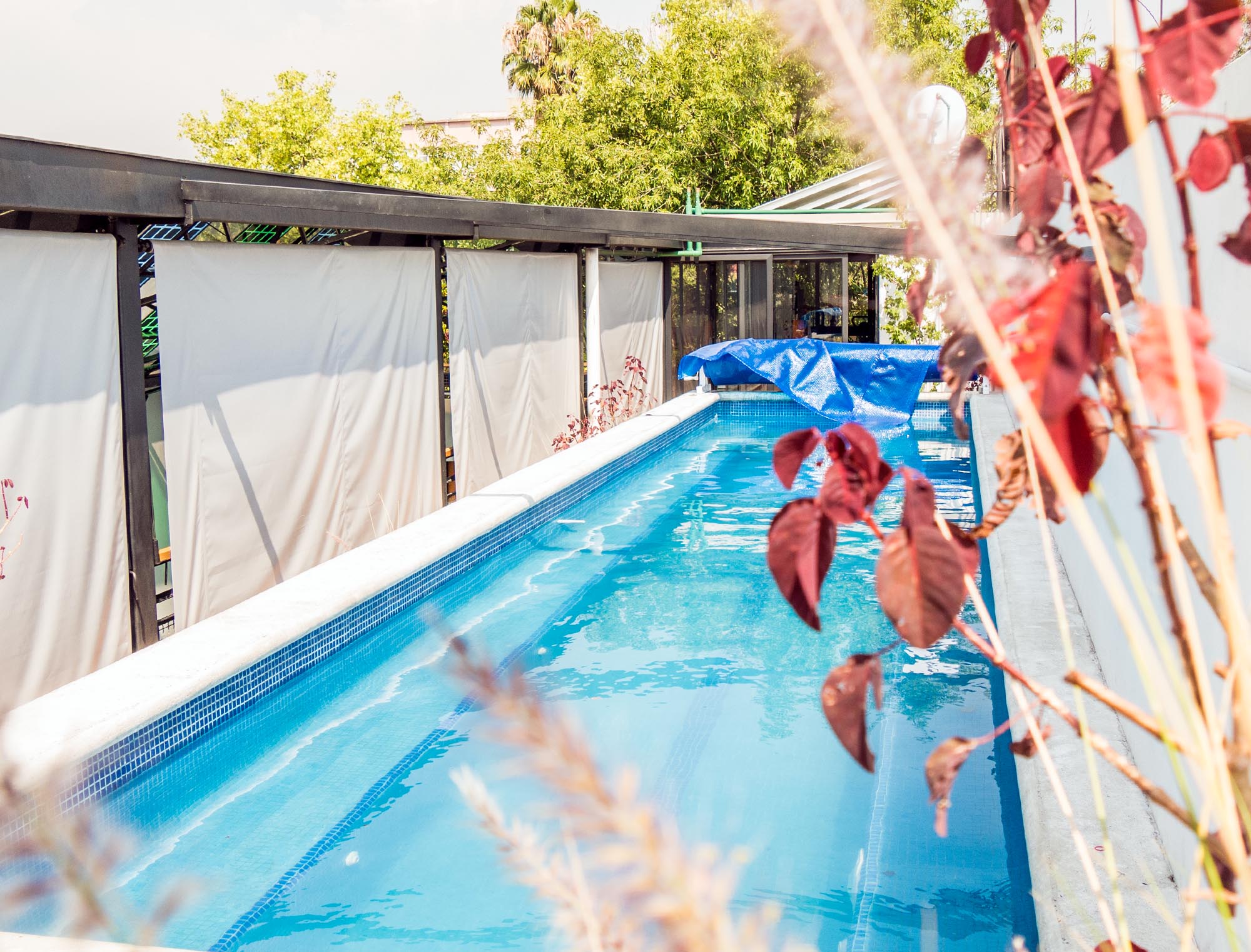 Mexico City Budget Apartment Rentals