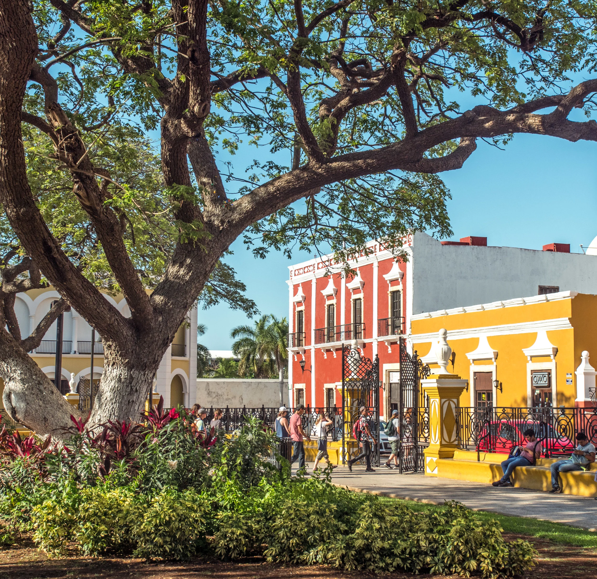 Travel Like A Local: 10 Easy Ways to Have More Local Travel Experiences