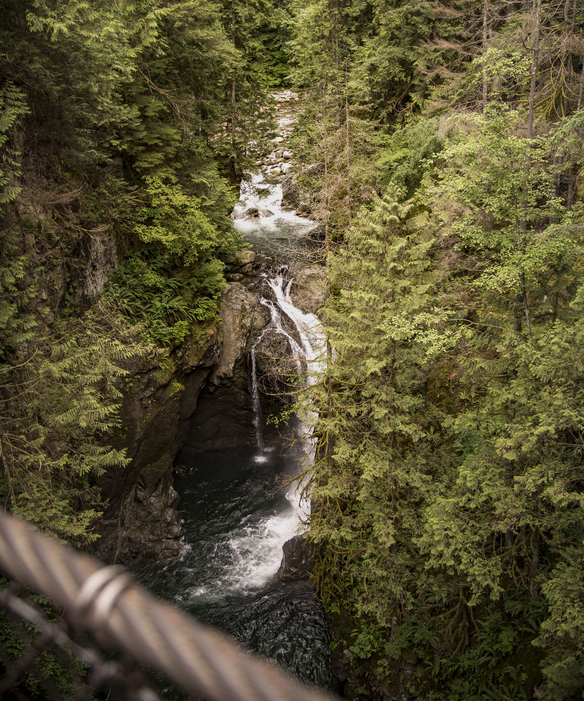 Lynn Canyon Park - Sea to Sky Highway