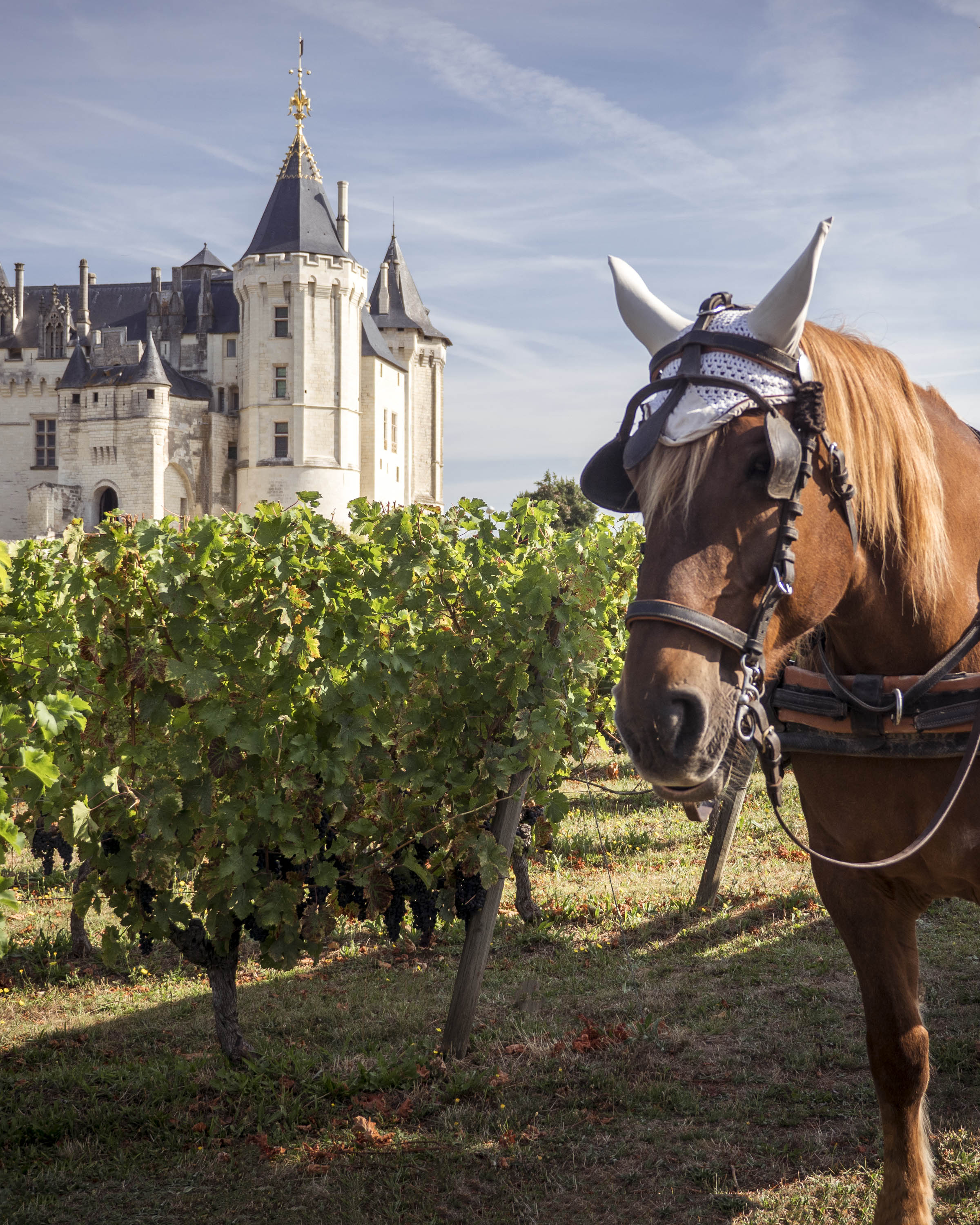 Chateau de Saumur, Loire Valley France