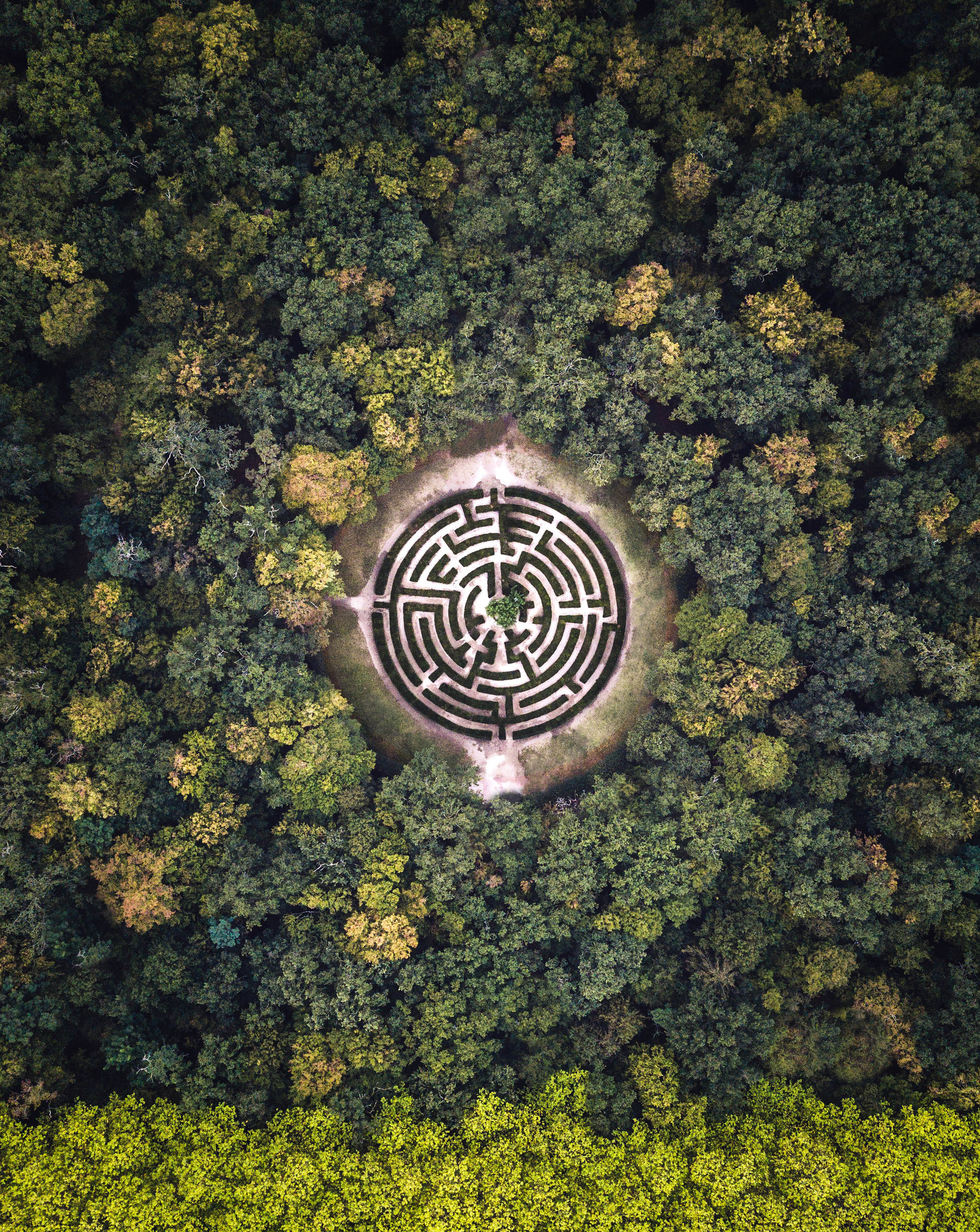 Chateau de Chenonceau Maze - Loire Valley France