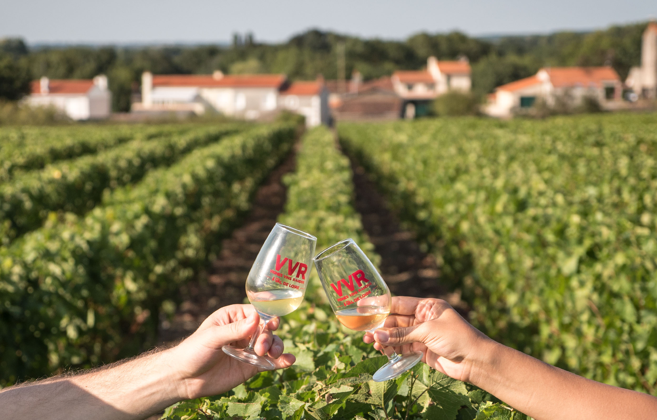 Wine Tasting in the Loire Valley