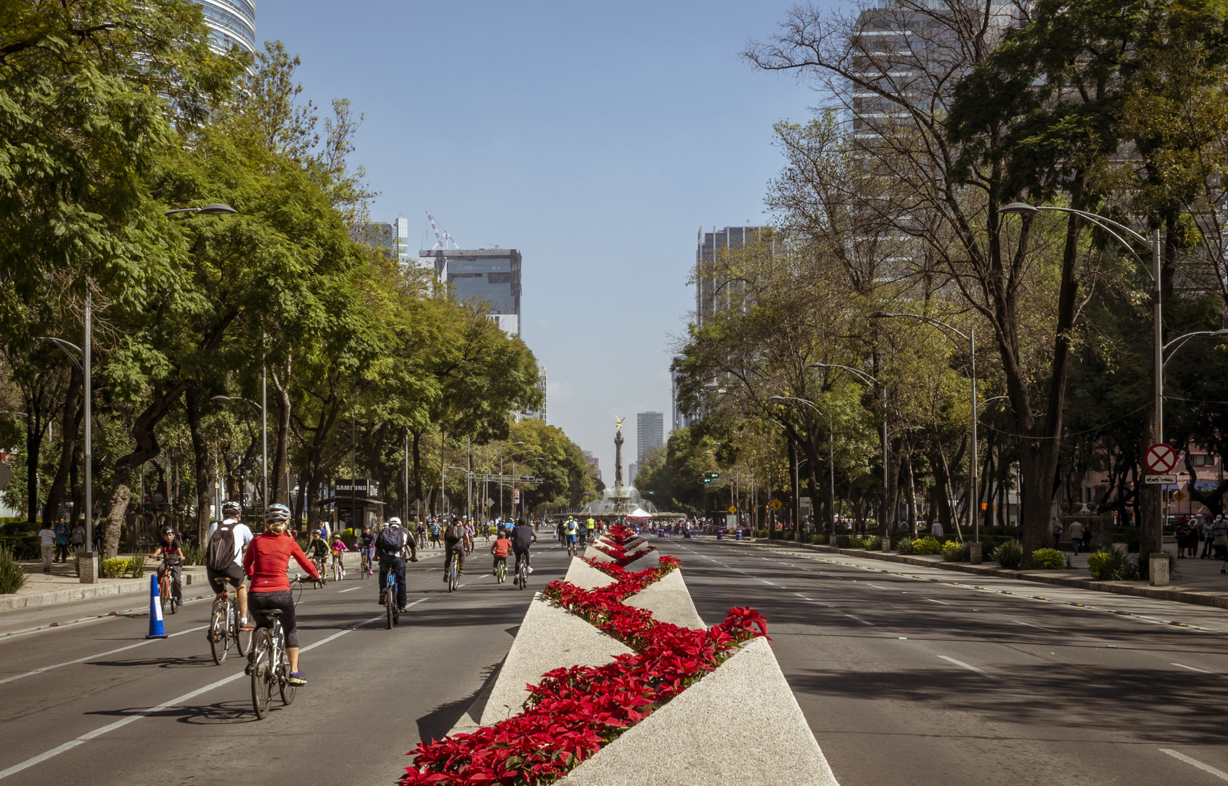 Sunday Morning Bike Rides in Mexico City
