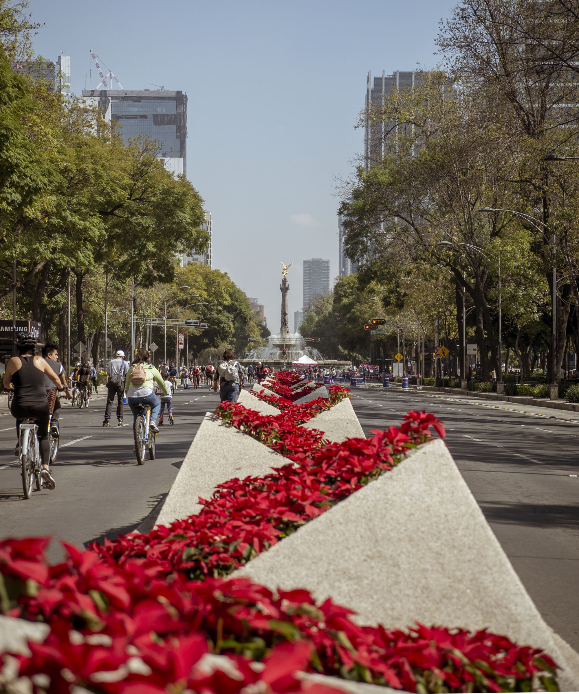 Paseo de la Reforma - Sunday Morning Bike Rides in Mexico City