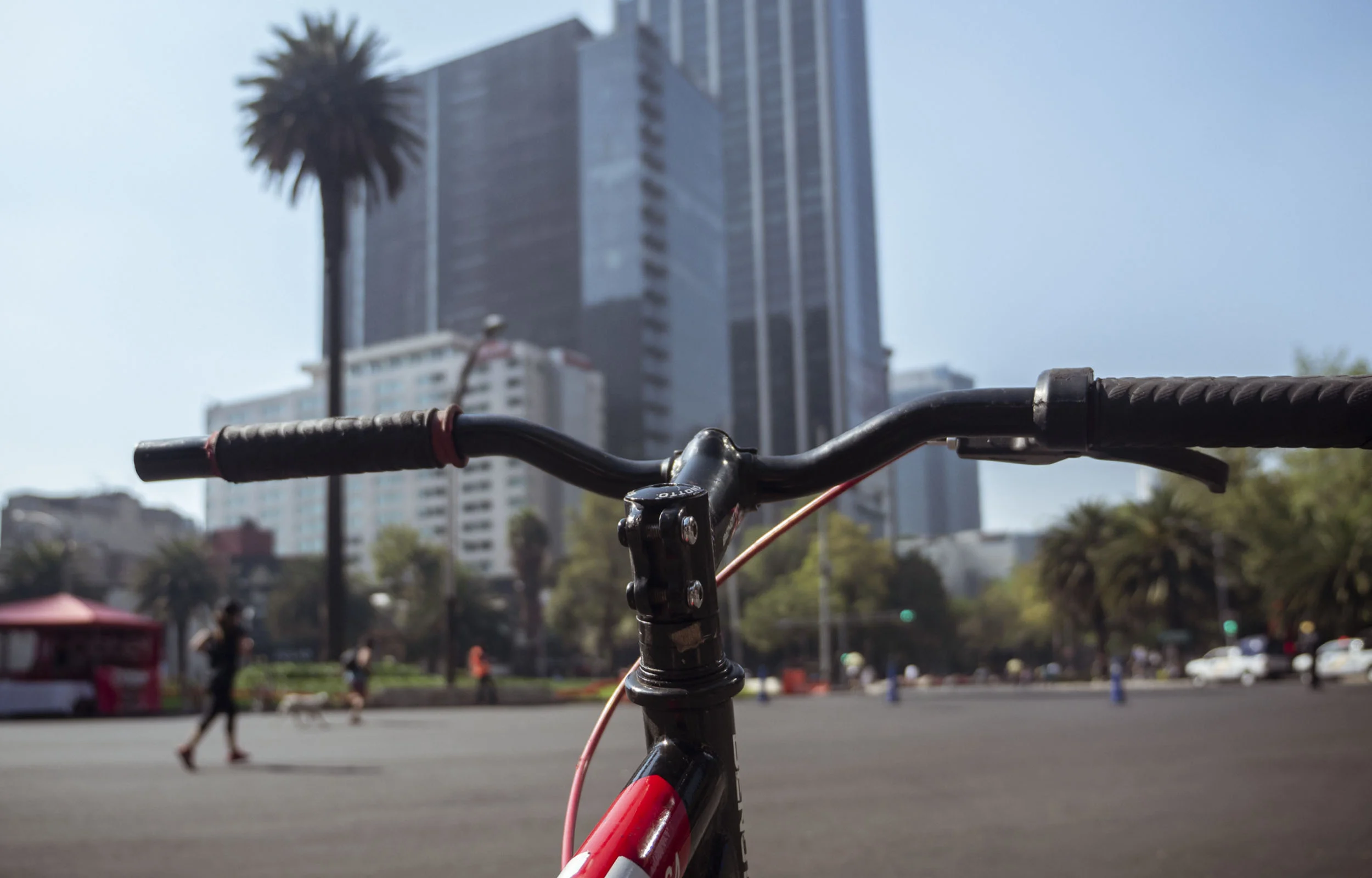 Free Sunday Bike Rides in Mexico City