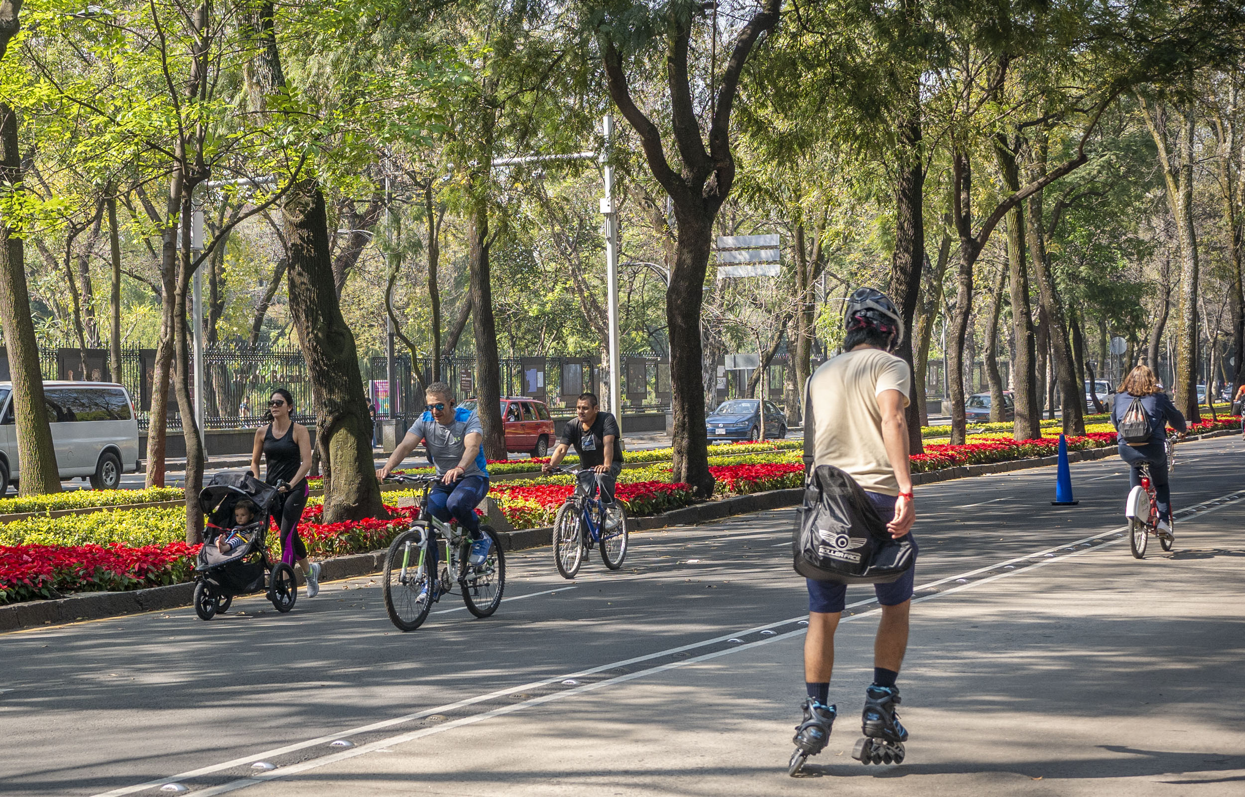 bike tours mexico city