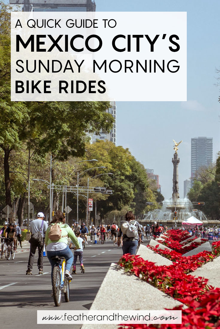 Sunday mornings in Mexico City belong to the cyclists! Here’s a quick guide on how to make the most of your bike ride along Paseo de la Reforma and where to get a free bike rental in Mexico City.