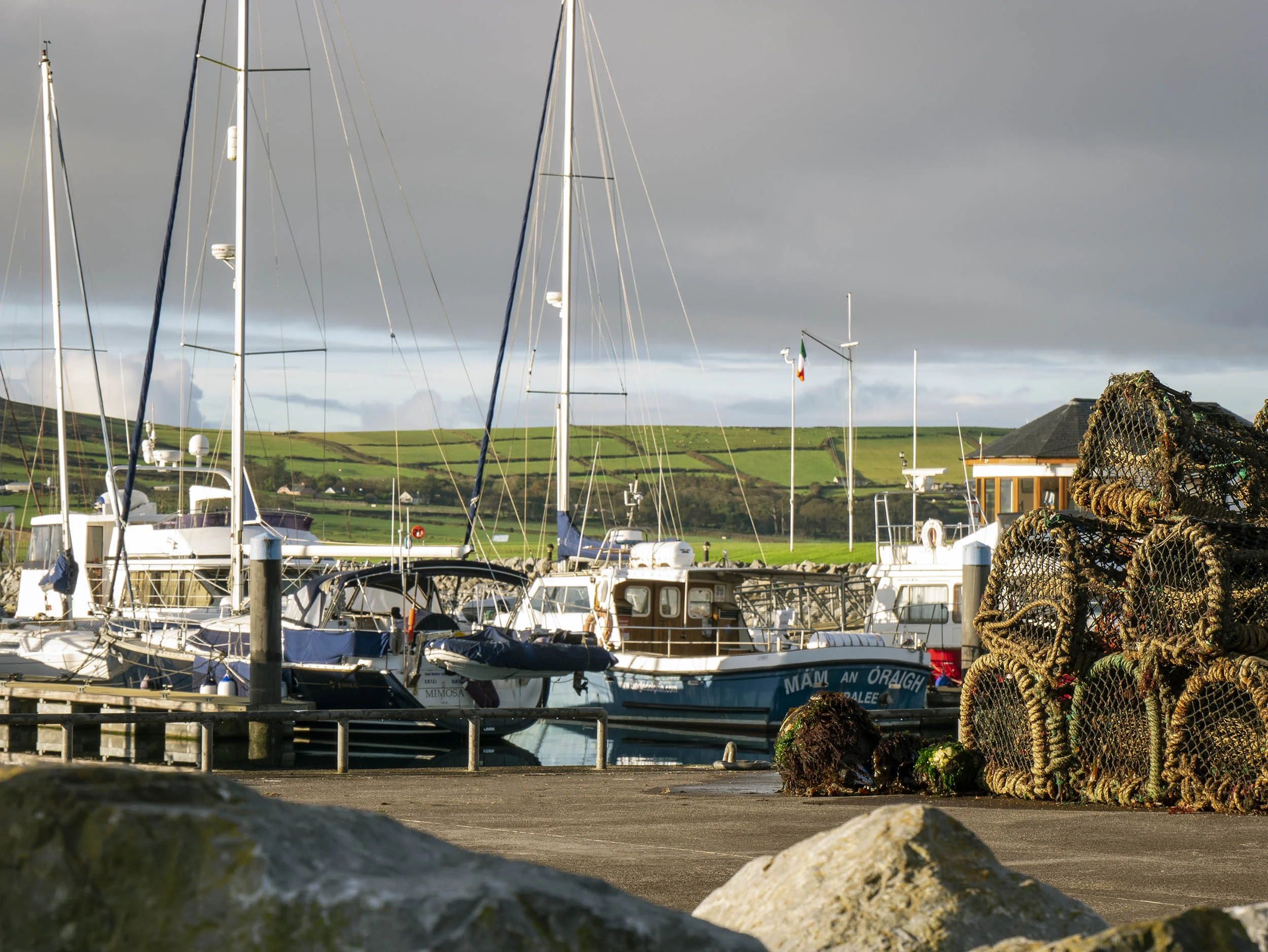 Things to do in Dingle, Ireland