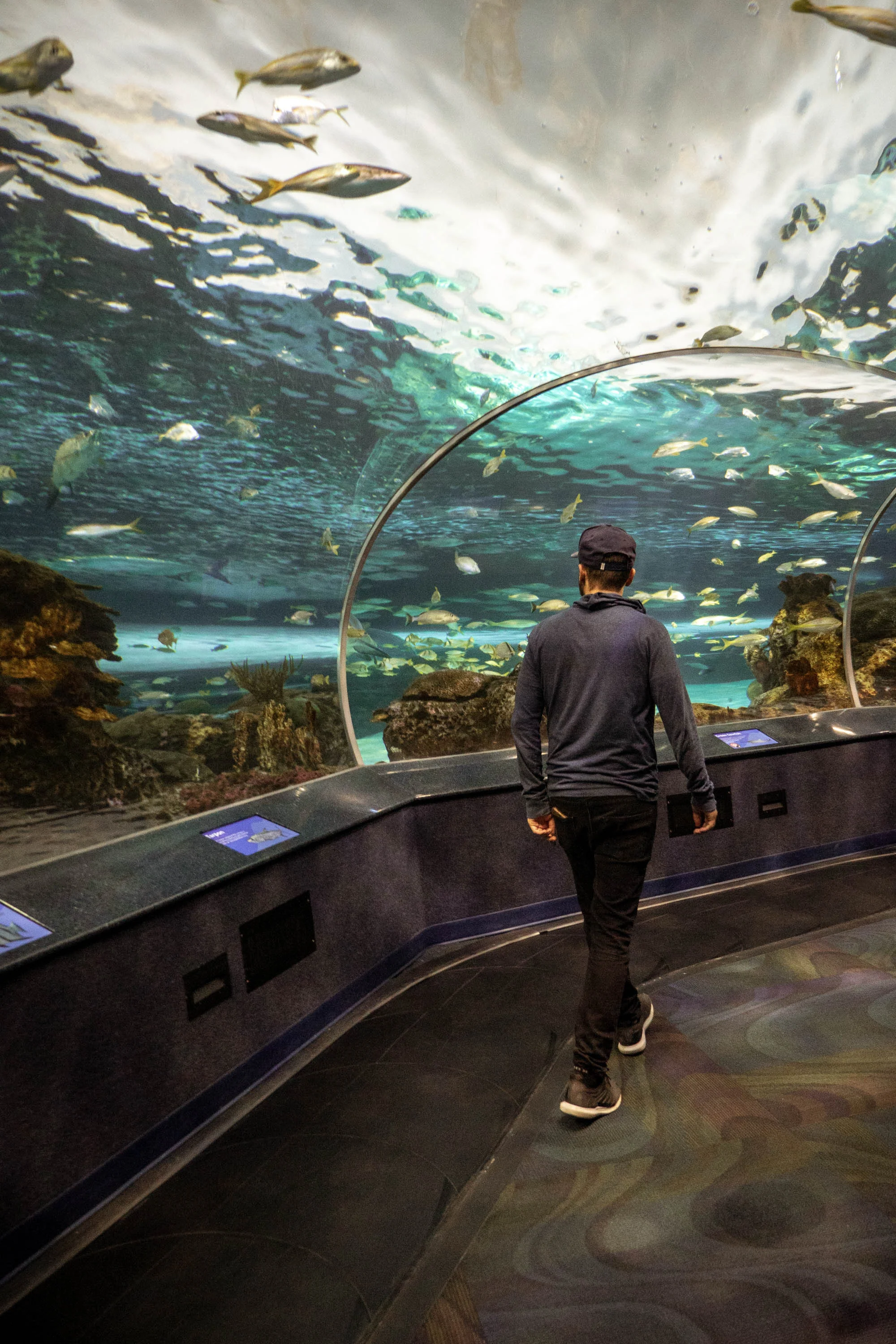 Toronto City Pass - Inside Ripley's Aquarium
