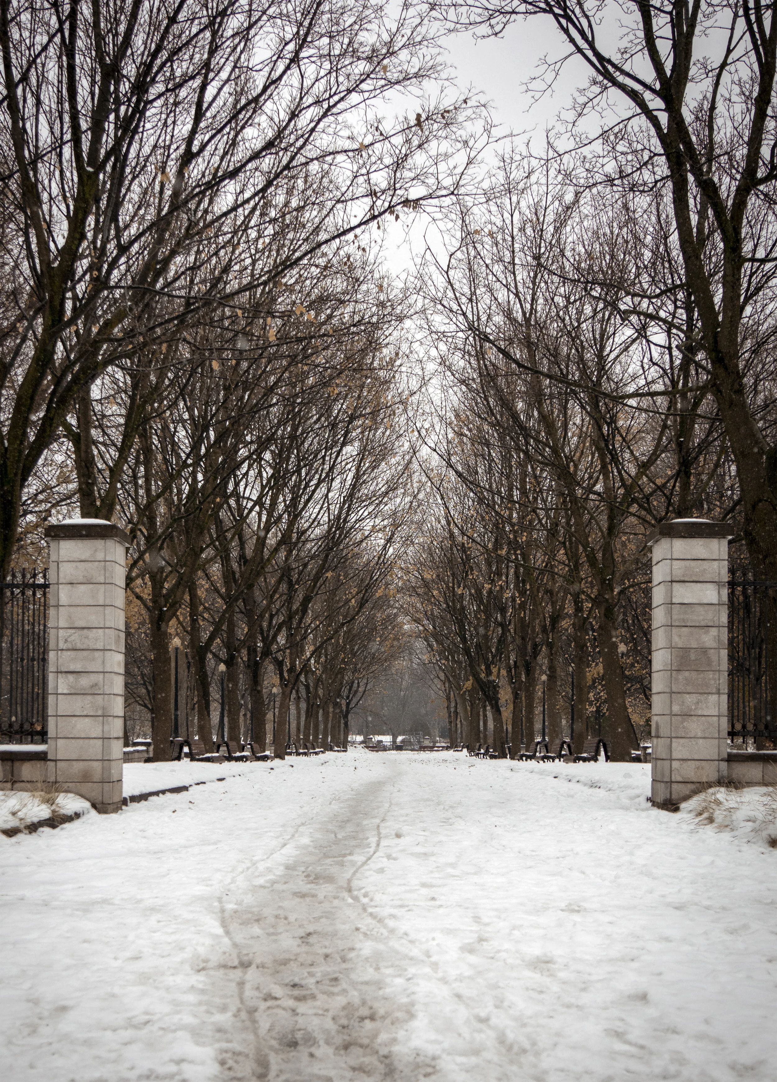 Winter at Parc La Fontaine - Montreal, Quebec