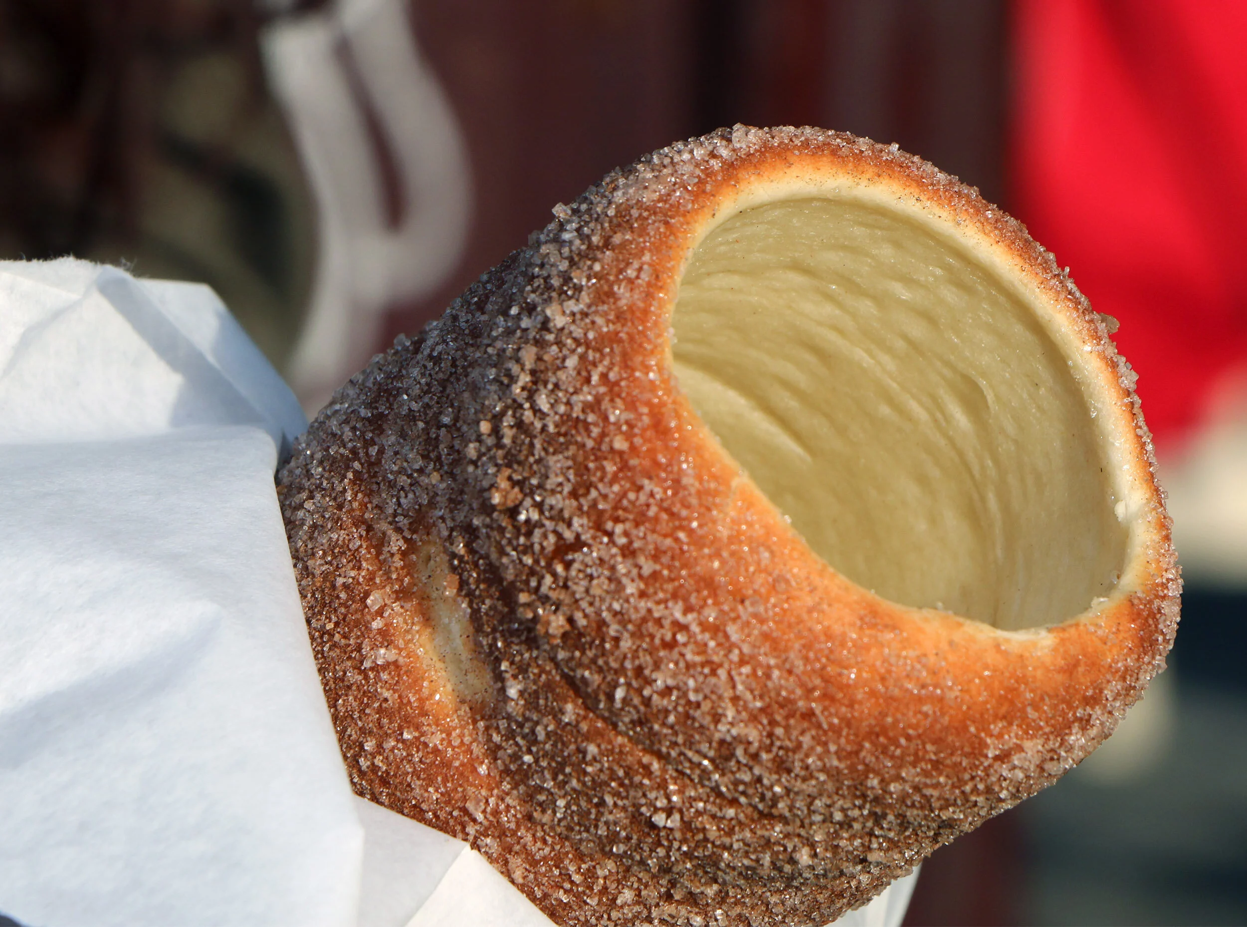 20+ Delicious Hungarian Foods Worth Travelling to Hungary For Feather