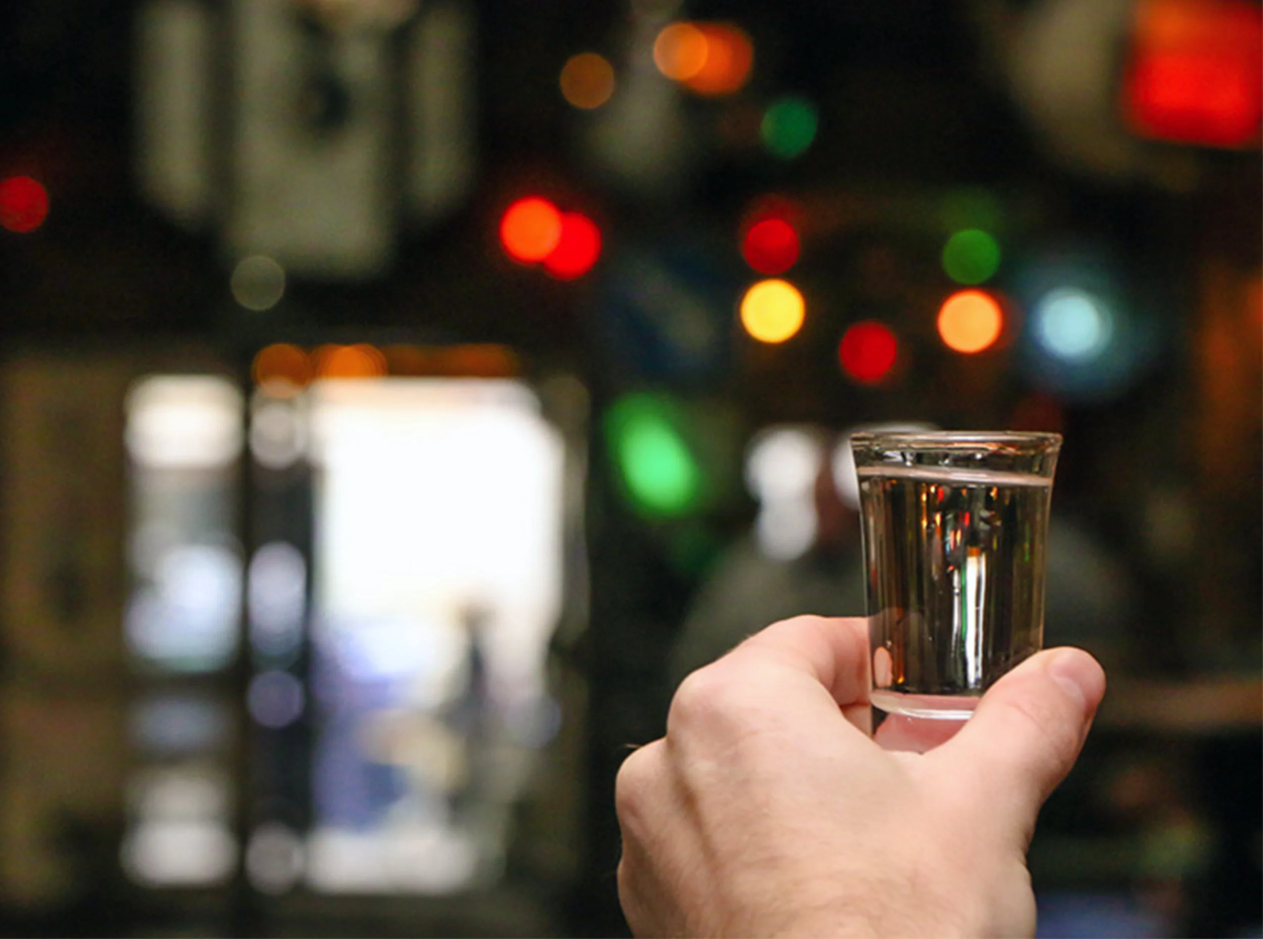 Hungarian Foods and Liqours - Palinka