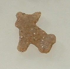 Chicken_Chihuahuas.JPG