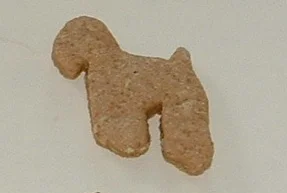 Airedale_Buns.JPG