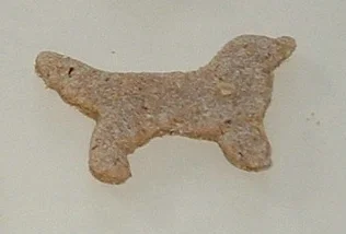 Honey_Salmon_Setters.JPG